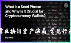 : 揭露区块链资产骗局：常见行为分析