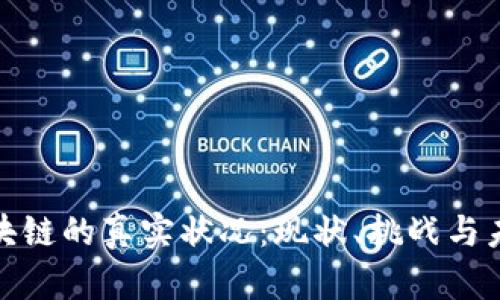 探索区块链的真实状况：现状、挑战与未来发展